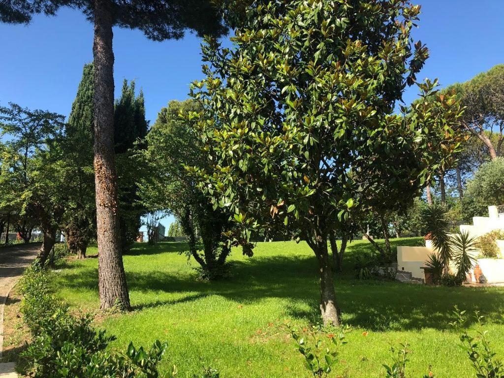 Residenza Verdemare Misano Adriatico Exterior photo